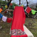 Pashmina Rouge